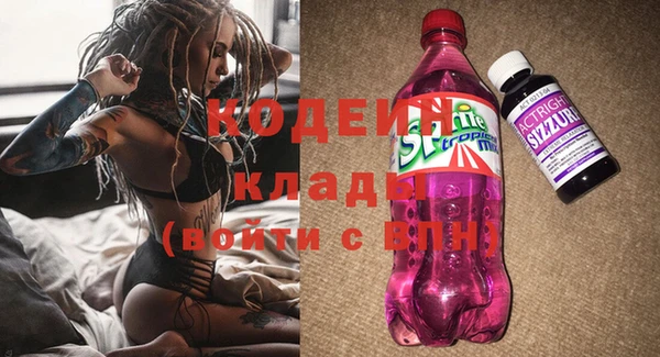 индика Абаза