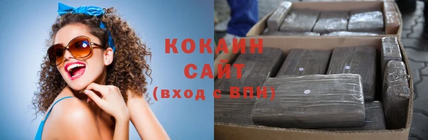 индика Абаза