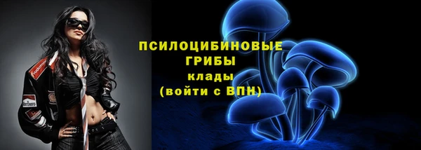 индика Абаза