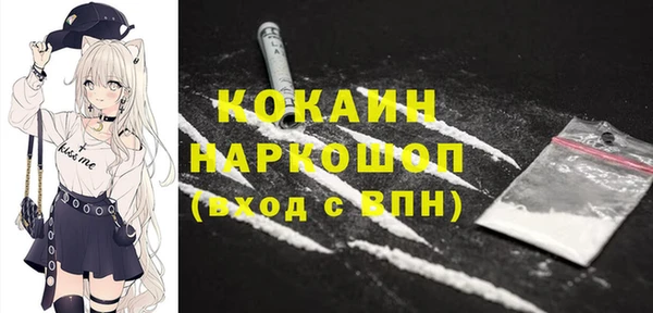 индика Абаза