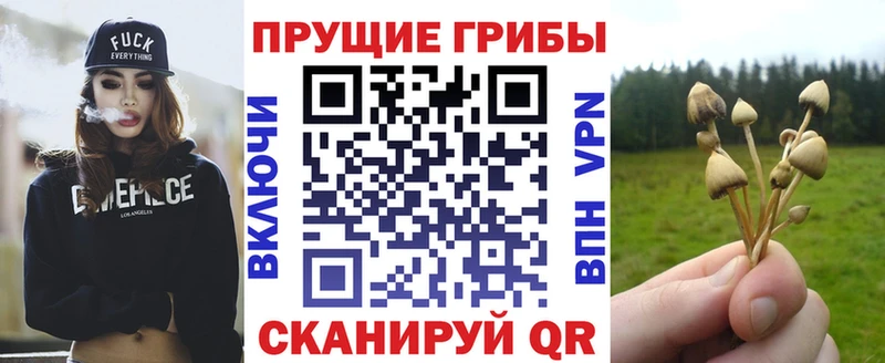 Псилоцибиновые грибы Psilocybine cubensis  Хилок 